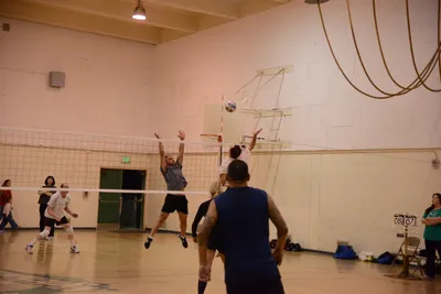 DSC_1852 (Large).JPG